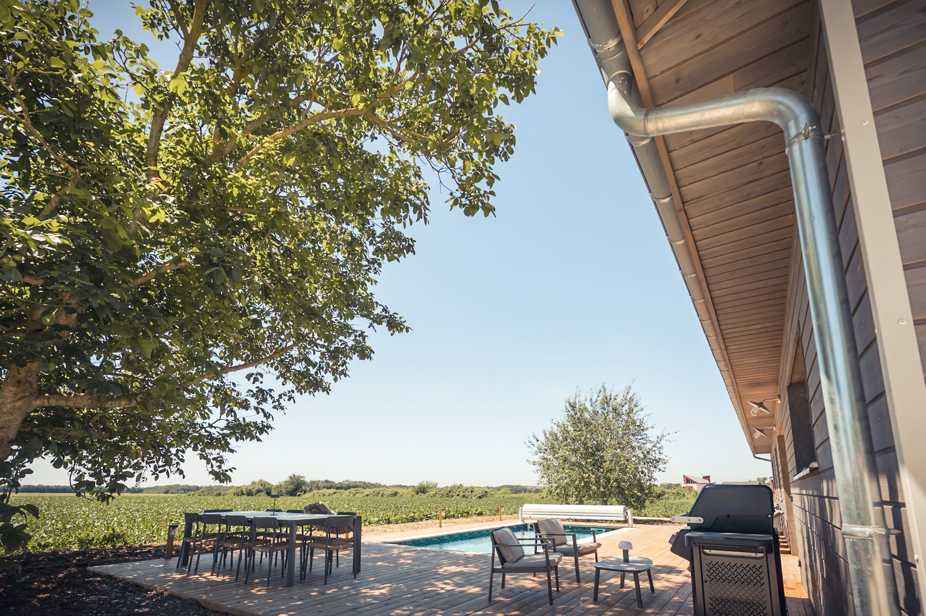 Terrasse ombragée avec piscine et arbre